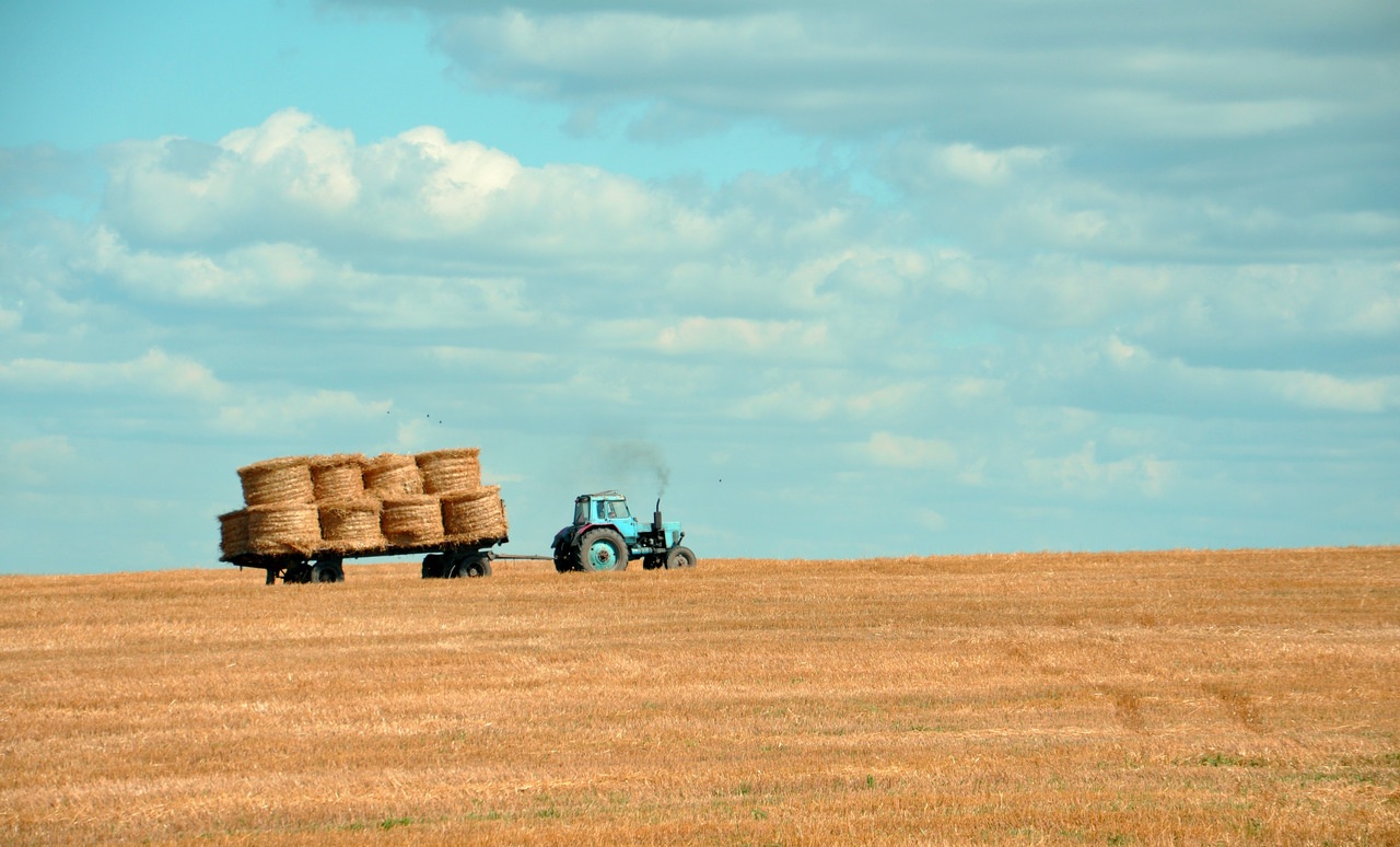 adolescent alcohol use in rural areas