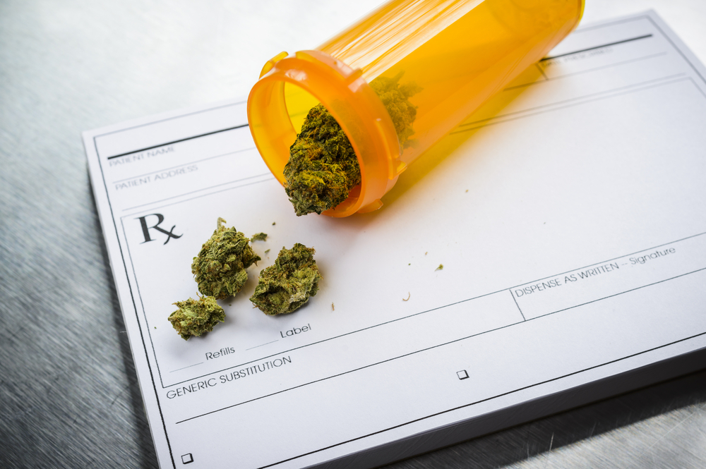 claims medical cannabis cuts opioid use